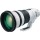 Canon EF 600mm f/4L IS III USM Lens